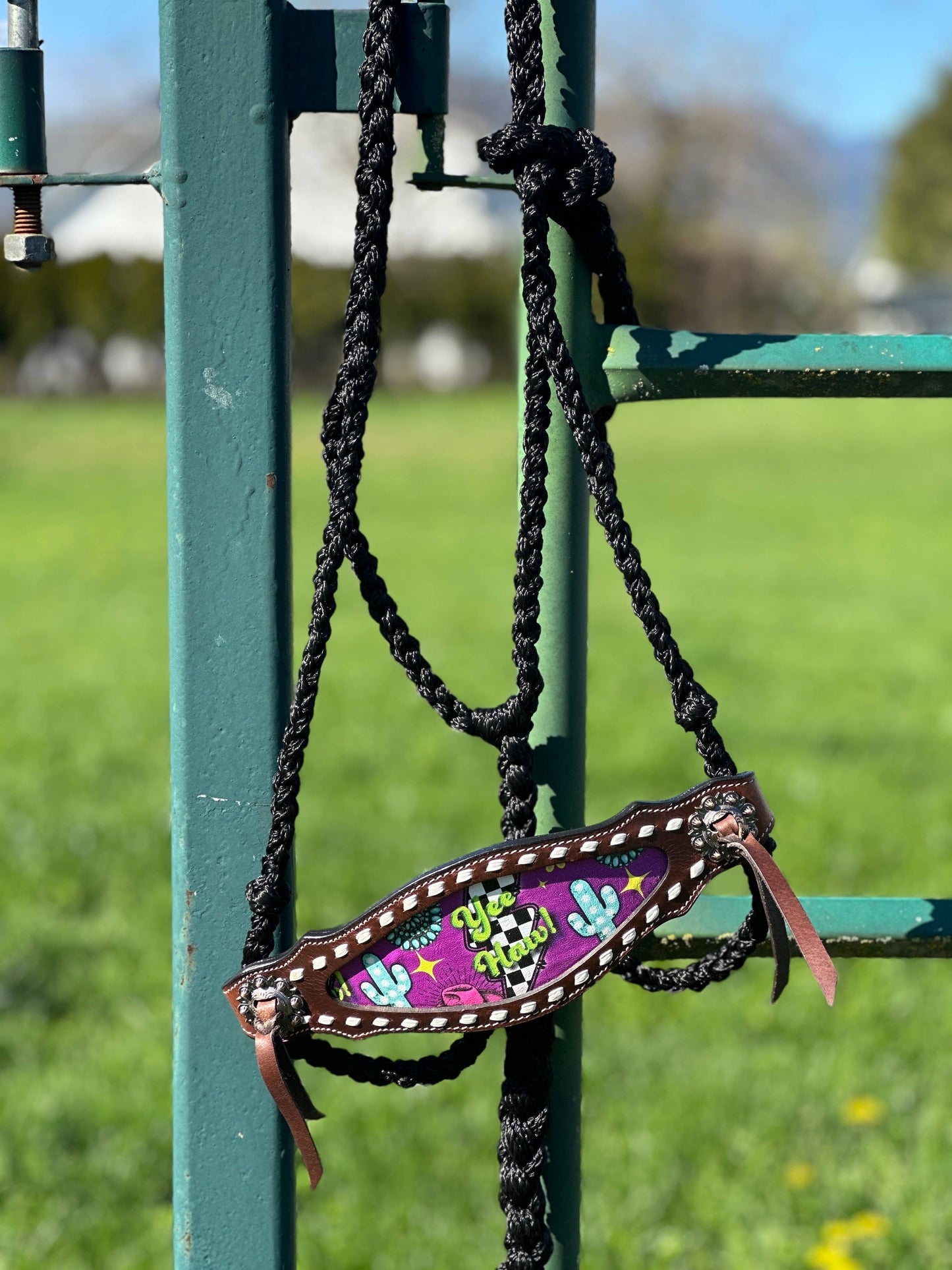 Braided Bronc Halter: Pink Aztec