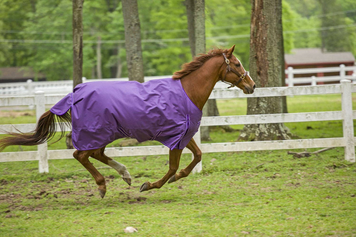 TuffRider 1680 D Super Comfy Winter Ripstop Turnout Blanket Medium Weight 200 GSM Standard Neck: Purple / 78