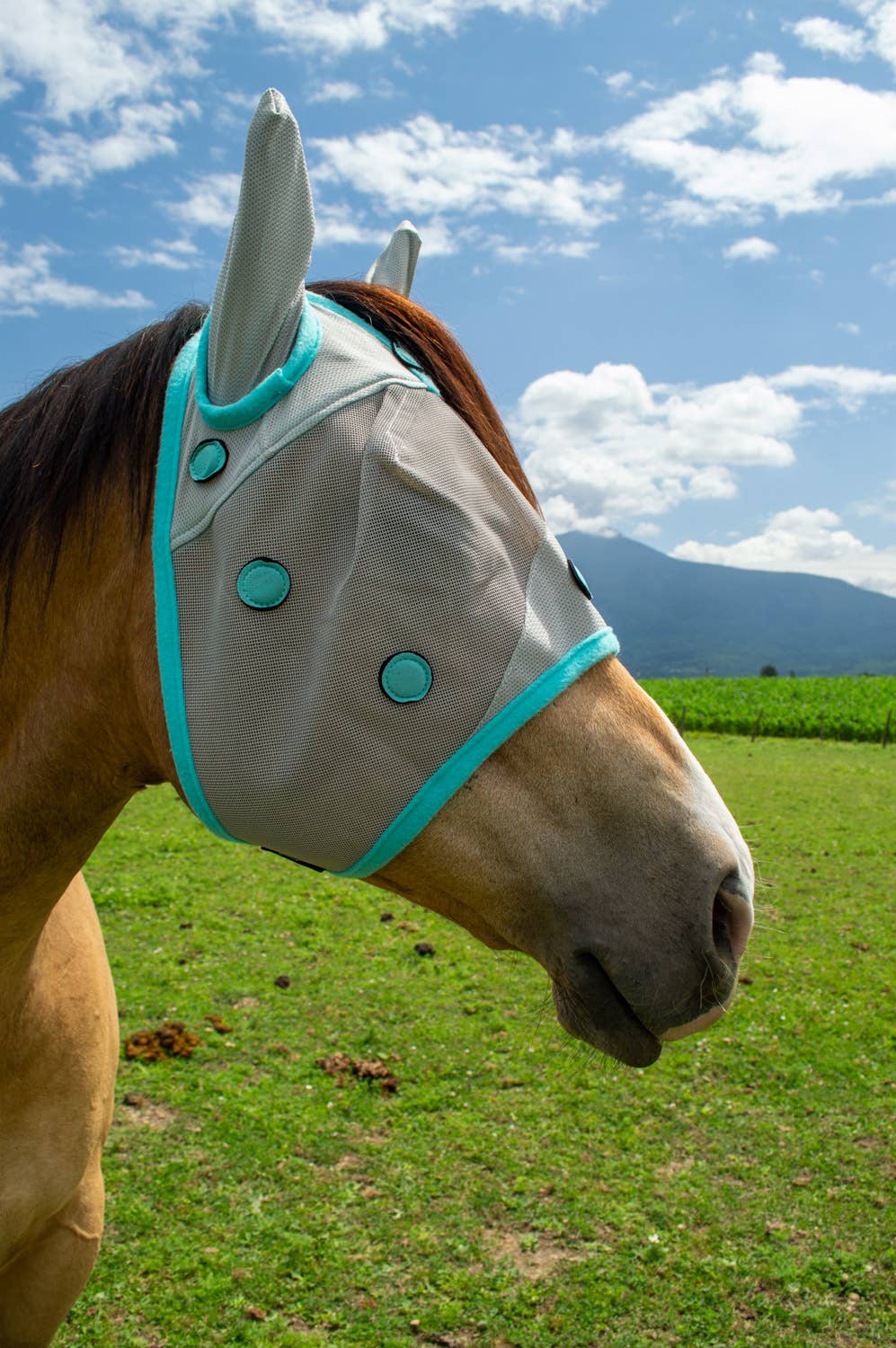 Perf Boost by Schulz Equine Magnetic Fly Mask: Horse