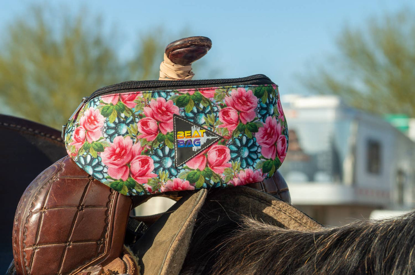 Beat Bag: Neon Desert