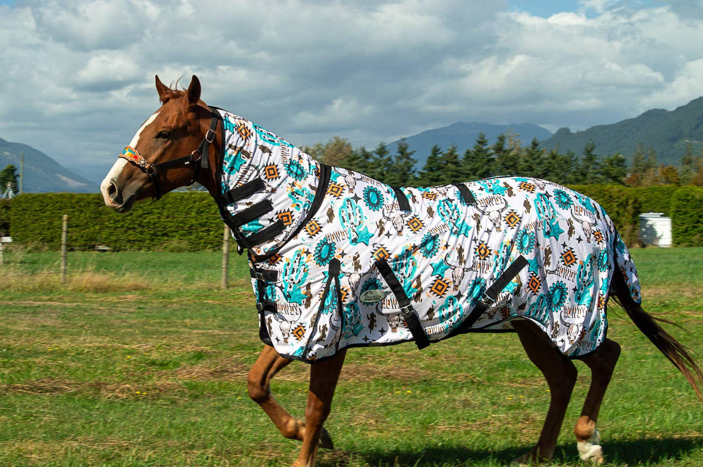 Howdy Fly Sheet: 75"
