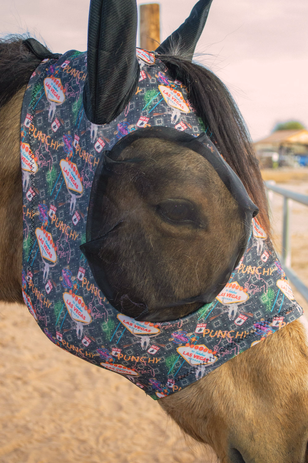 Lycra Fly Mask: Aztec Bubblegum / Cob