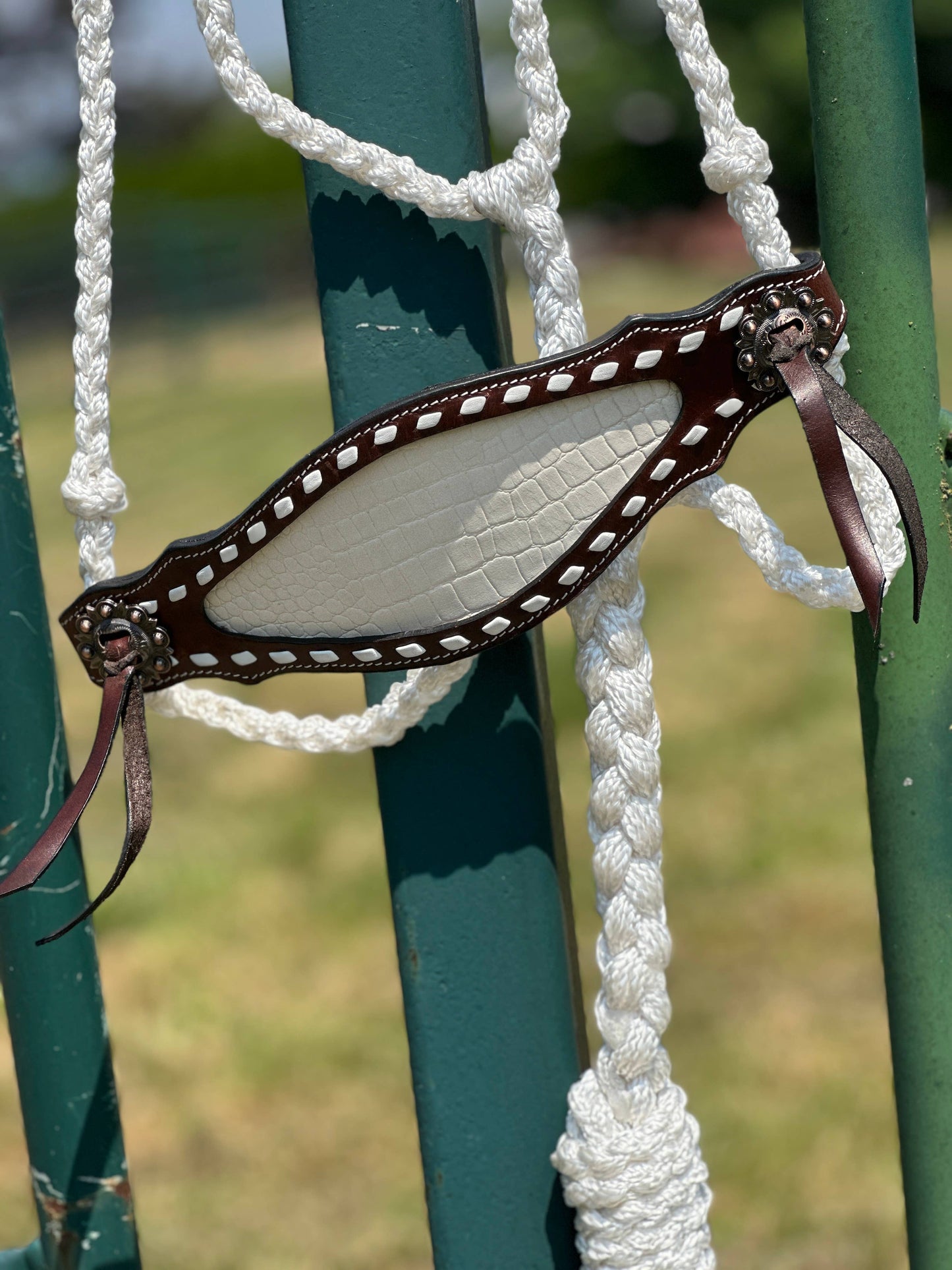 Braided Bronc Halter: Pink Aztec