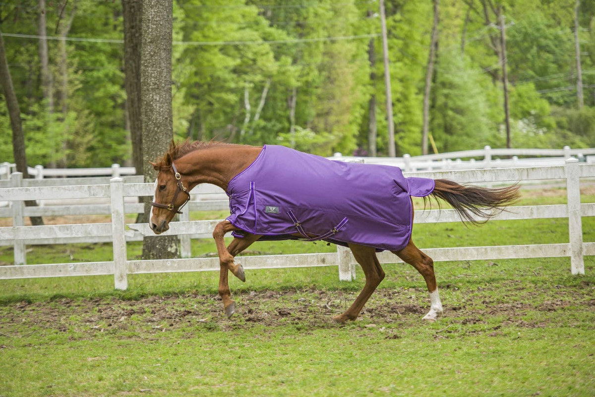 TuffRider 1680 D Super Comfy Winter Ripstop Turnout Blanket Medium Weight 200 GSM Standard Neck: Purple / 78