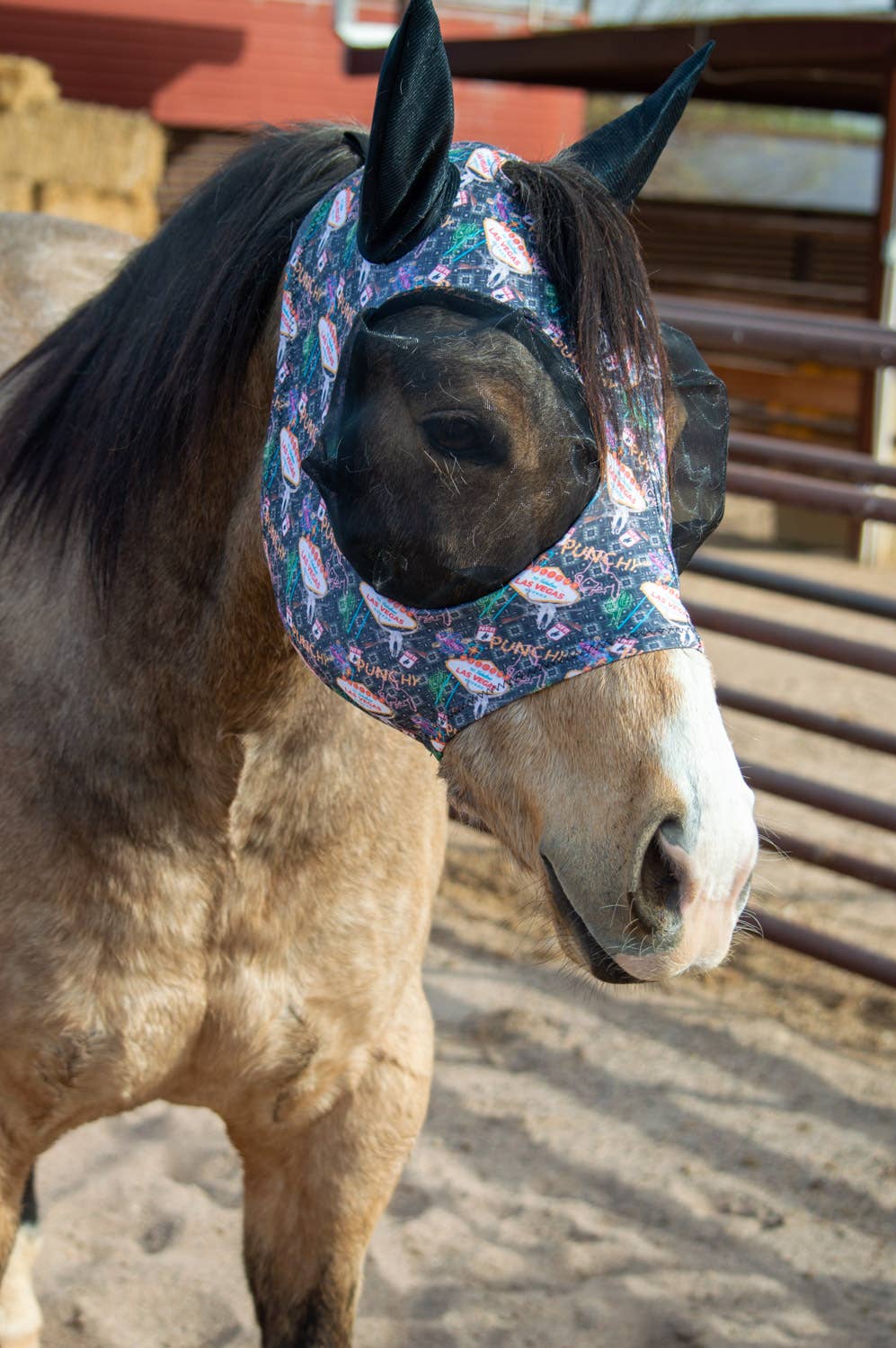 Lycra Fly Mask: Turquoise Glass / Horse