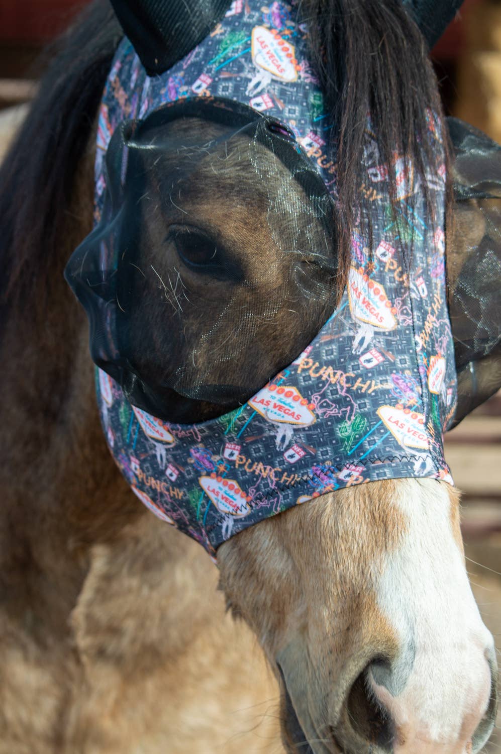 Lycra Fly Mask: Turquoise Glass / Cob
