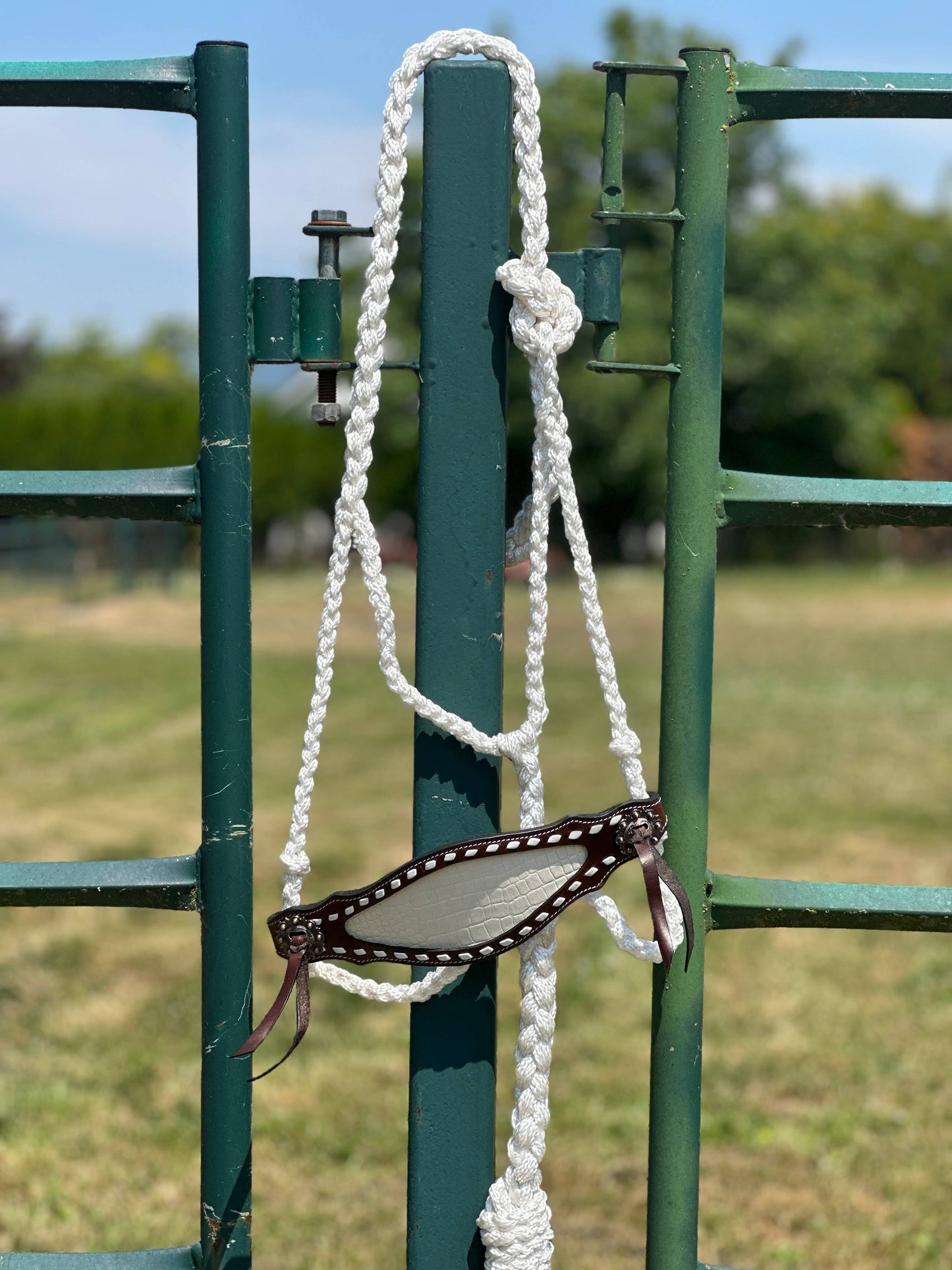 Braided Bronc Halter: Pink Aztec