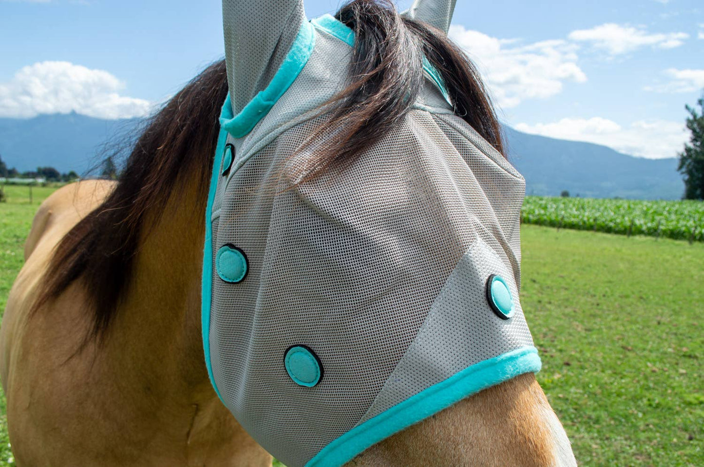Perf Boost by Schulz Equine Magnetic Fly Mask: Horse