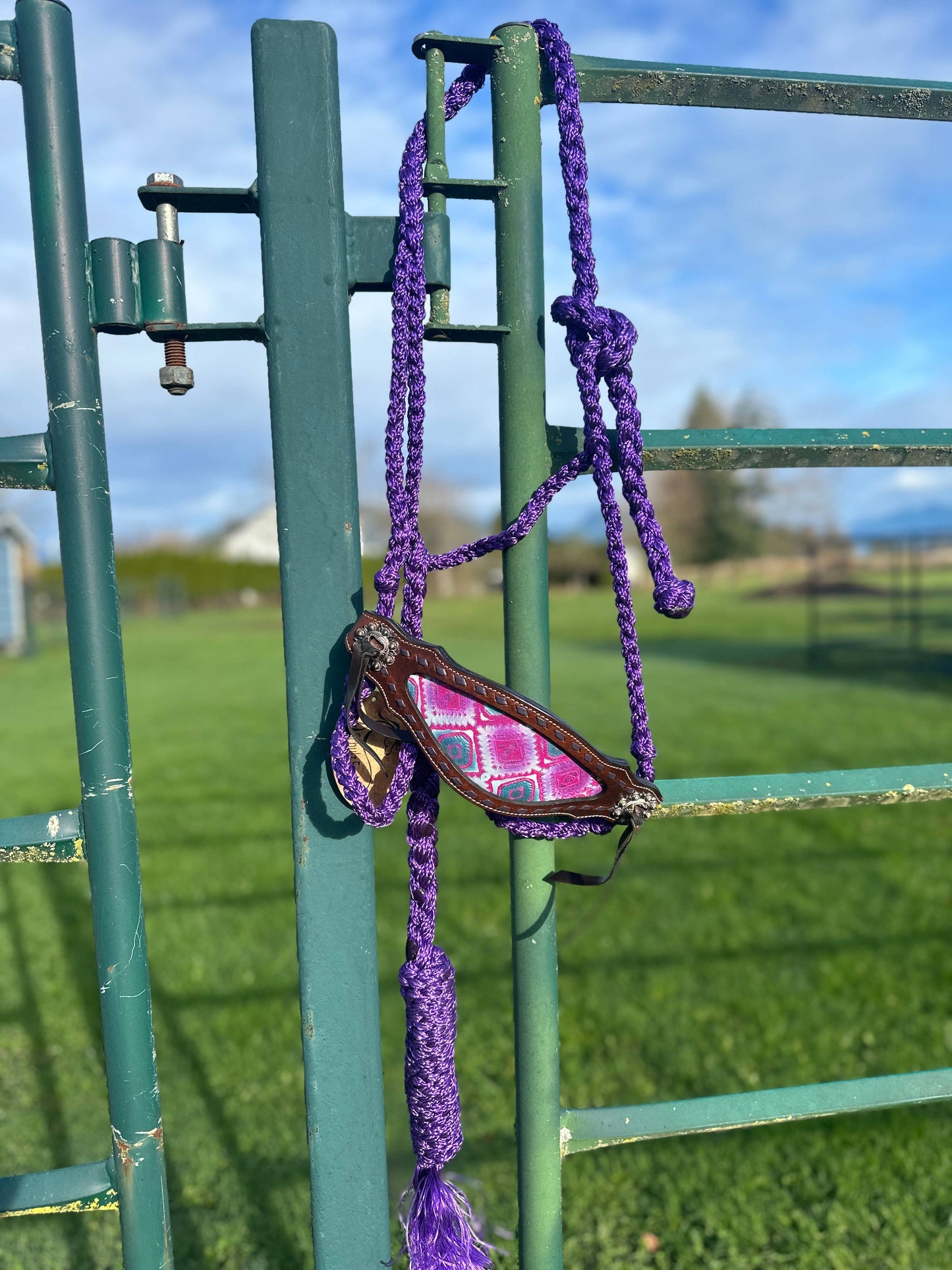 Braided Bronc Halter: Pink Aztec