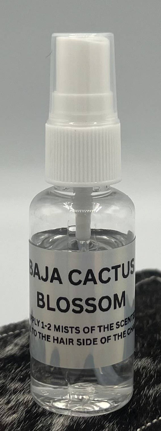 100P-BAJA CACTUS BLOSSOM OIL