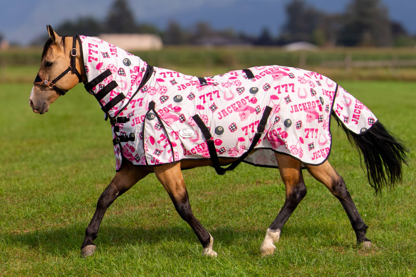 Jackpot Fly Sheet : 75"