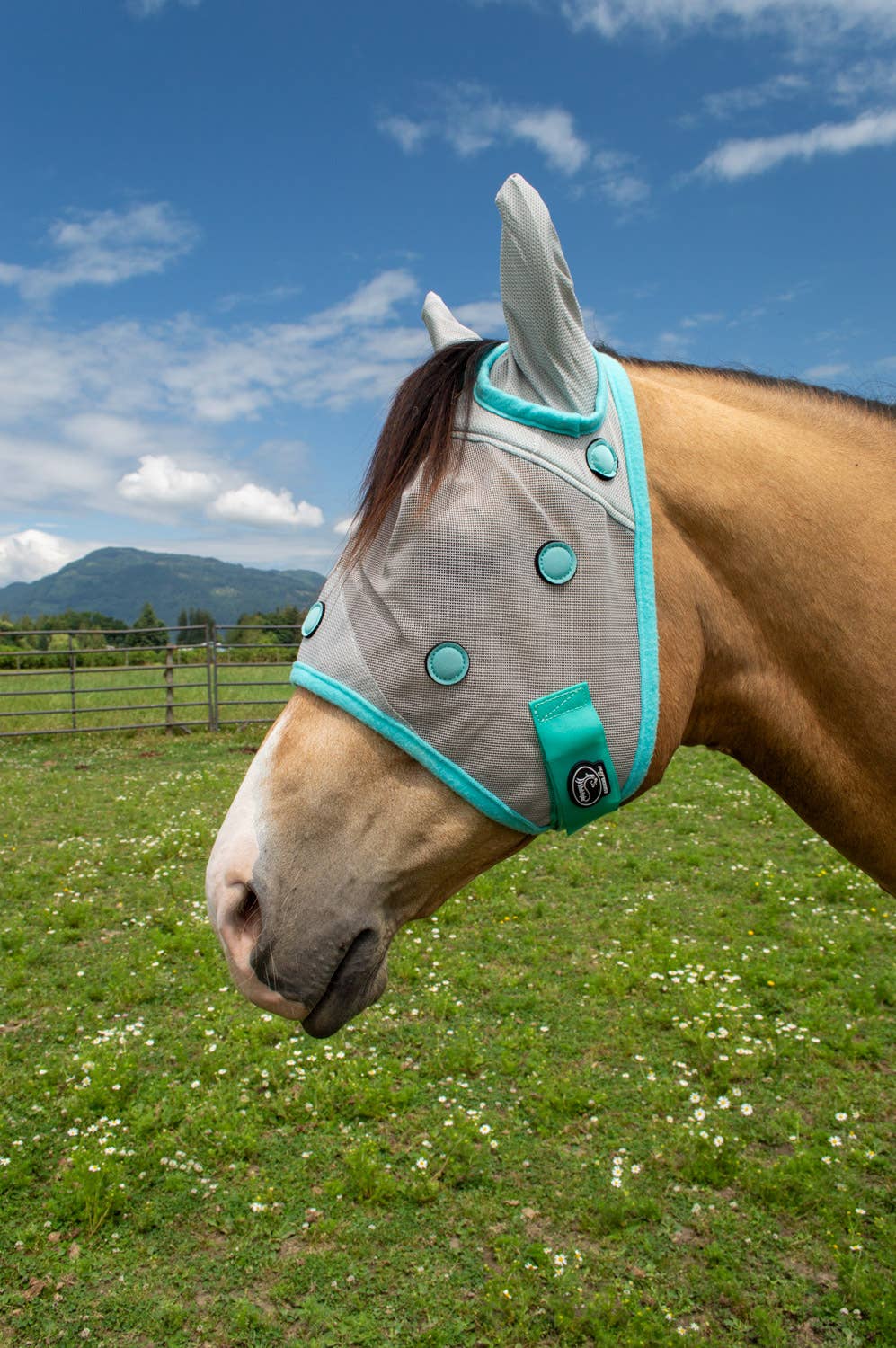 Perf Boost by Schulz Equine Magnetic Fly Mask: Horse
