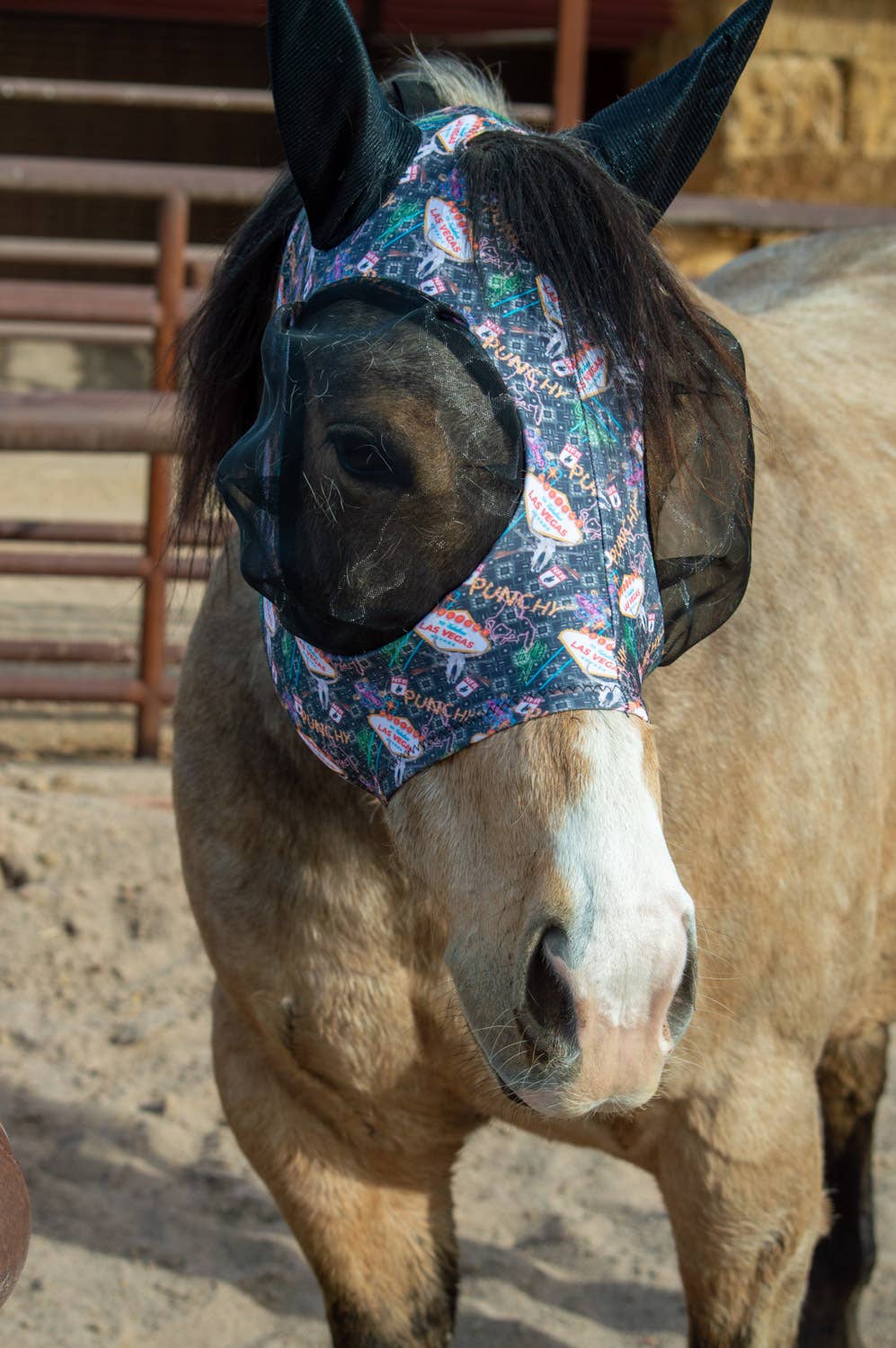 Lycra Fly Mask: Turquoise Glass / Cob