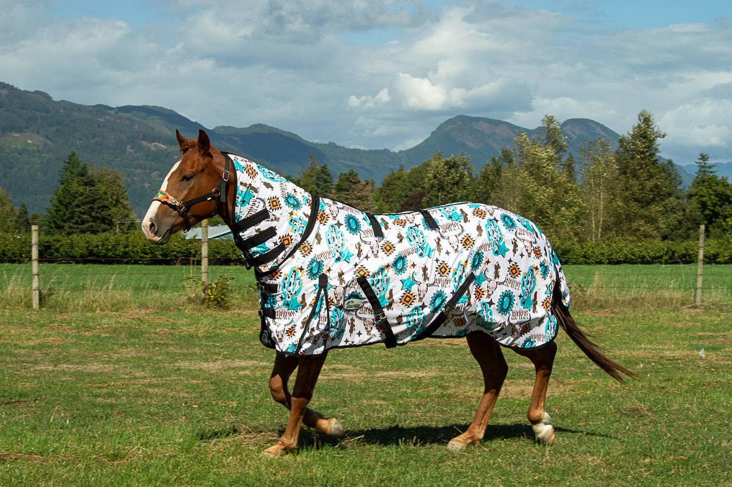 Howdy Fly Sheet: 75"