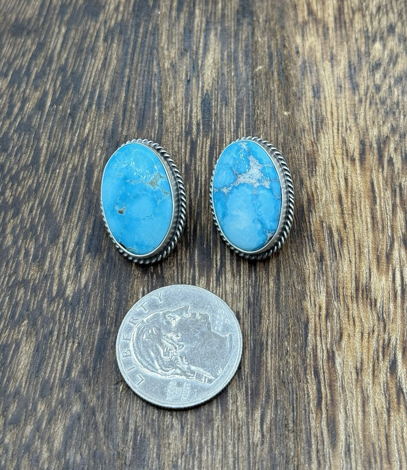 Navajo Blue Bird Post Stud Earrings