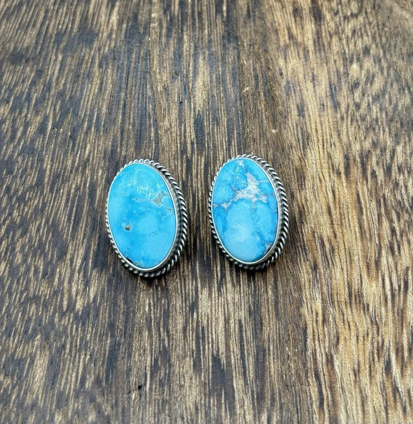 Navajo Blue Bird Post Stud Earrings
