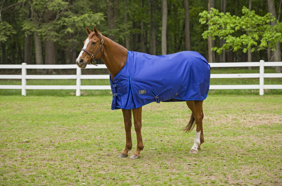 TuffRider 1680 D Super Comfy Winter Ripstop Turnout Blanket Medium Weight 200 GSM Standard Neck: Purple / 78