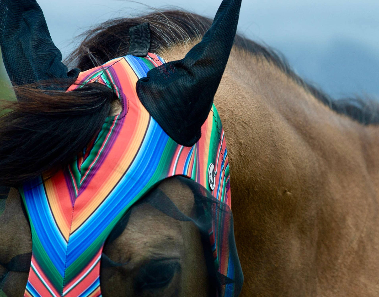 Lycra Fly Mask: Vegas Rodeo / Horse