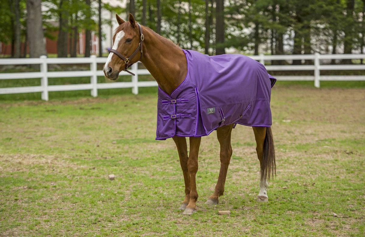 TuffRider 1680 D Super Comfy Winter Ripstop Turnout Blanket Medium Weight 200 GSM Standard Neck: Purple / 78