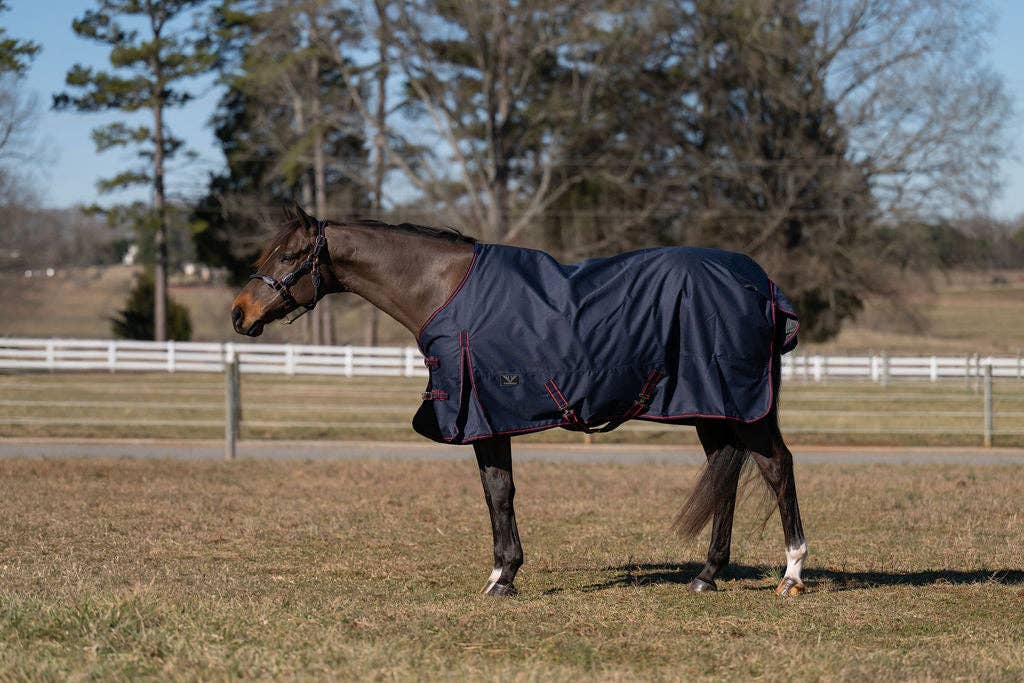TuffRider 600 D Ripstop Standard Neck Light Weight Turnout Blanket with 100 GSM Fill: Black / 84