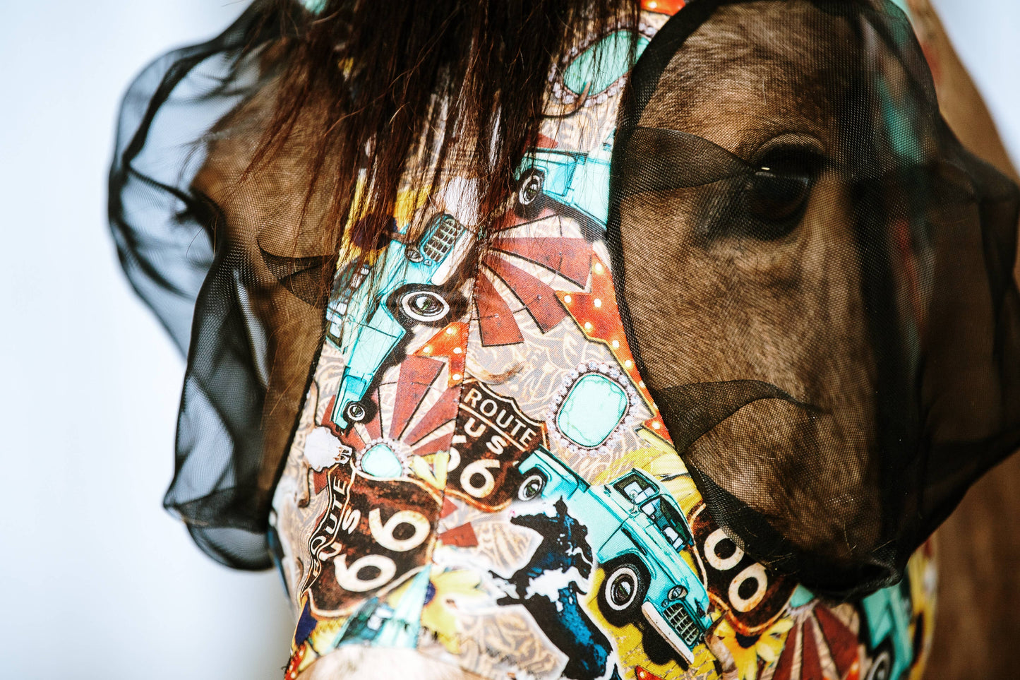 Lycra Fly Mask: Vegas Rodeo / Horse