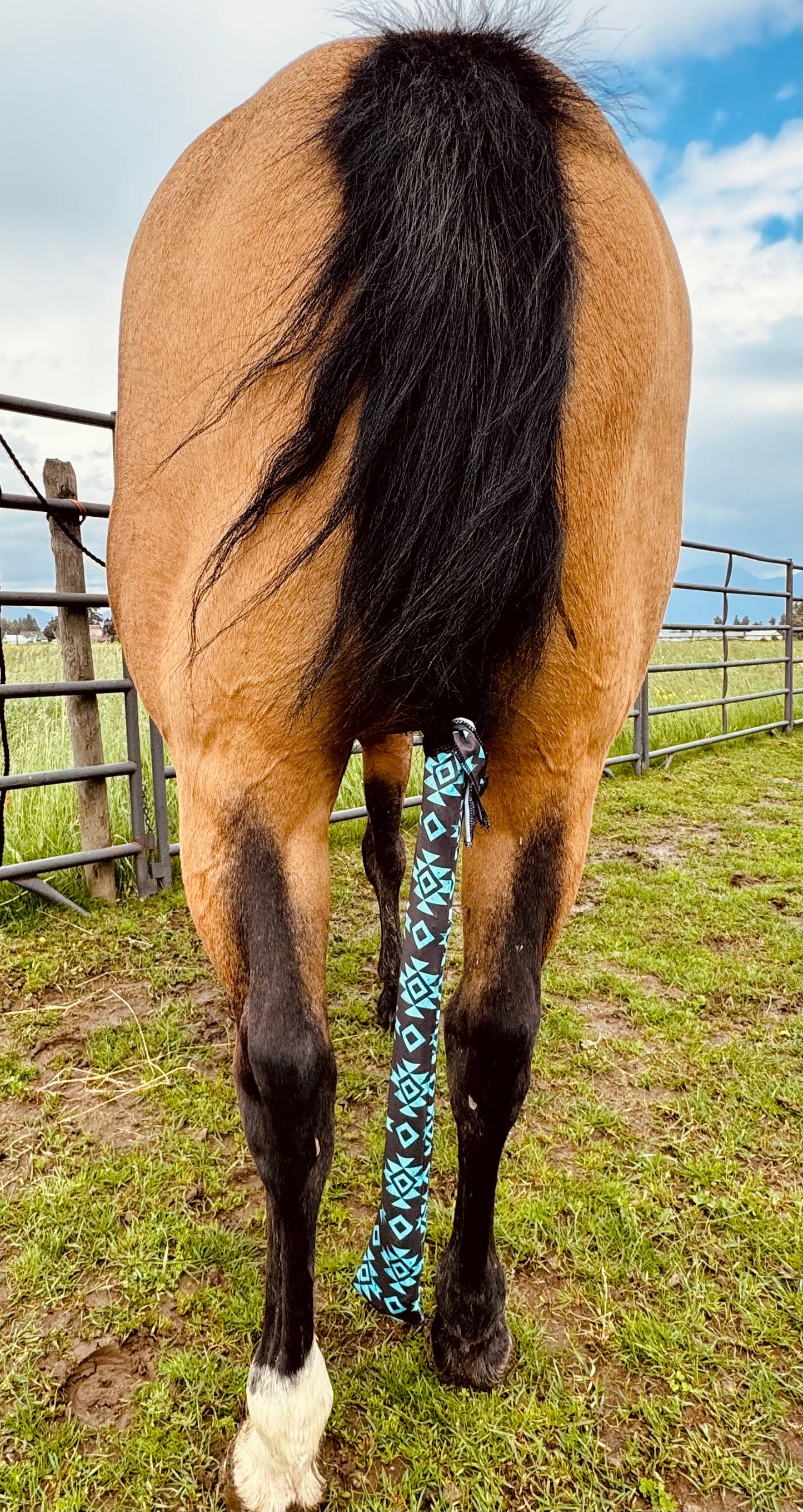 Lycra Tail Bag: Turquoise Howdy