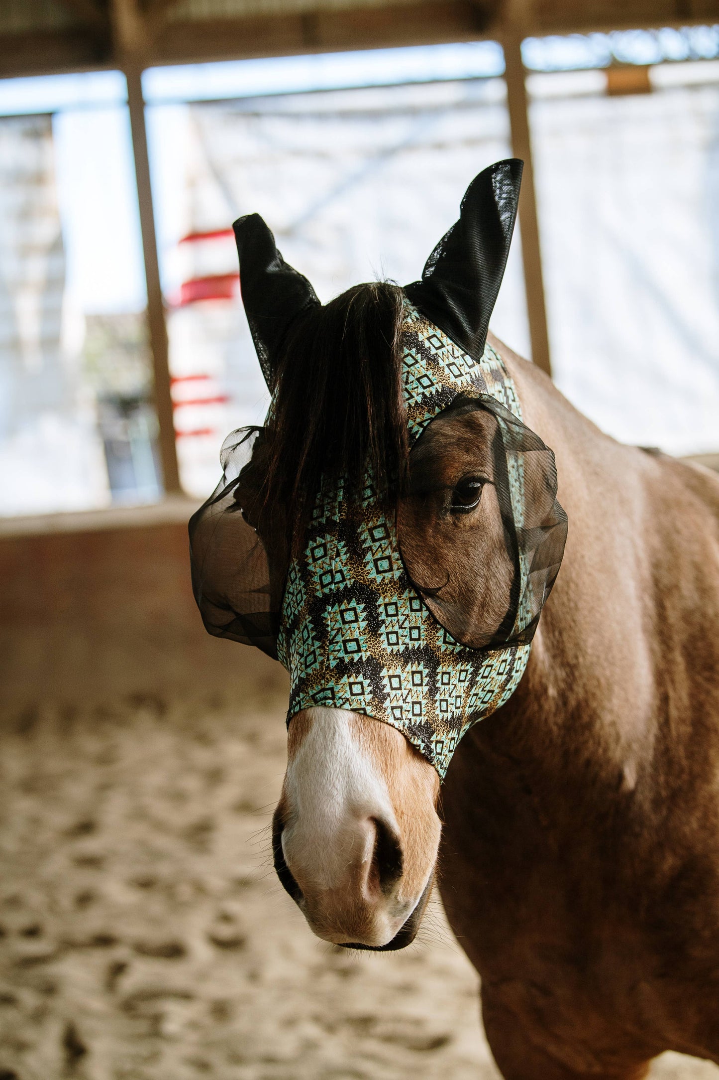 Lycra Fly Mask: Vegas Rodeo / Horse