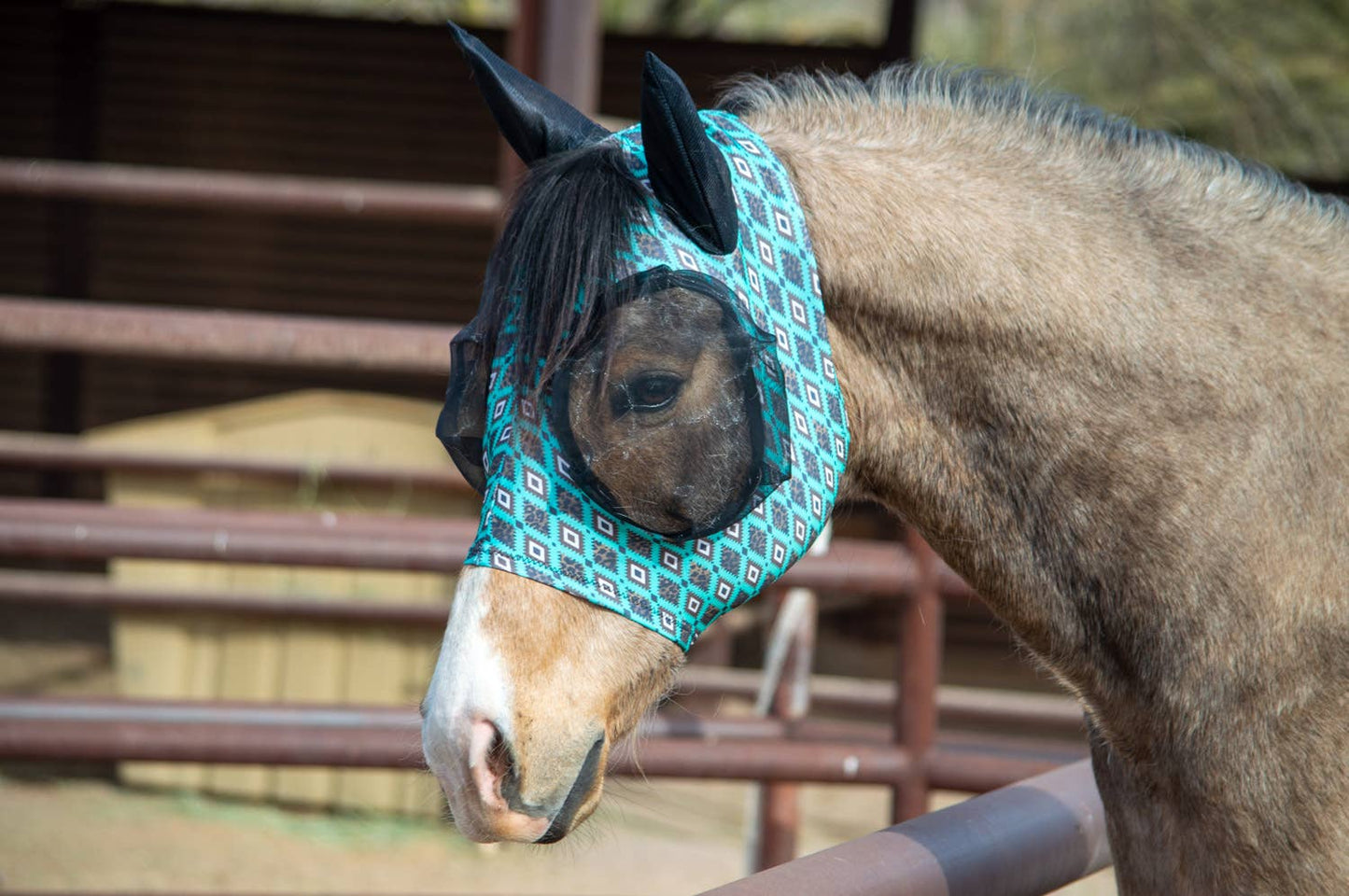Lycra Fly Mask: Teal Aztec Leopard / Horse