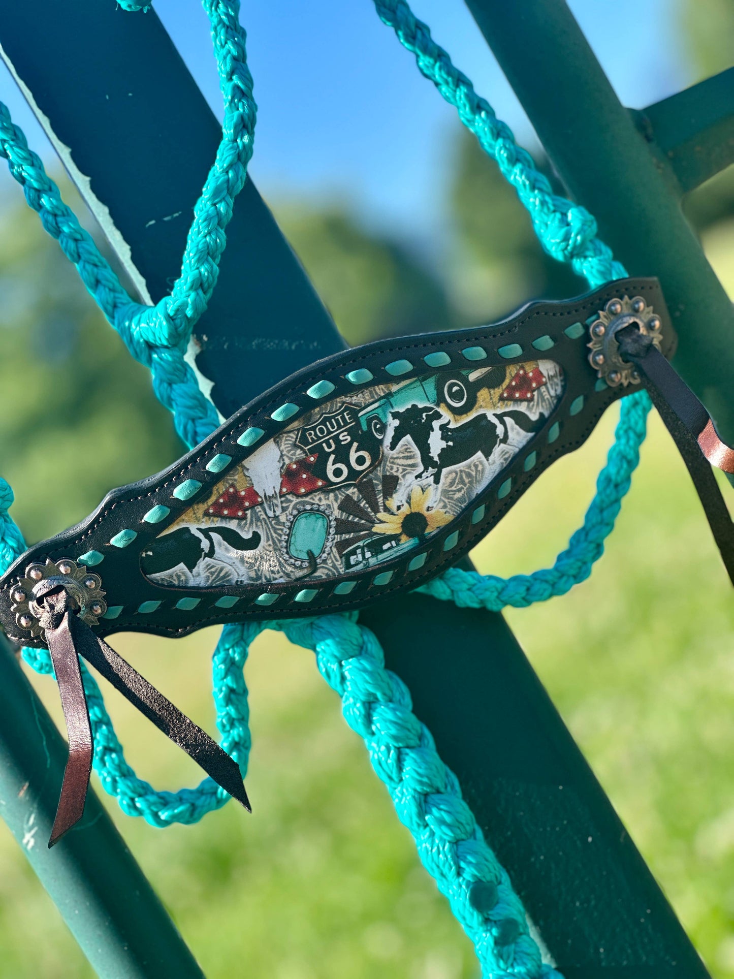 Braided Bronc Halter: Pink Aztec
