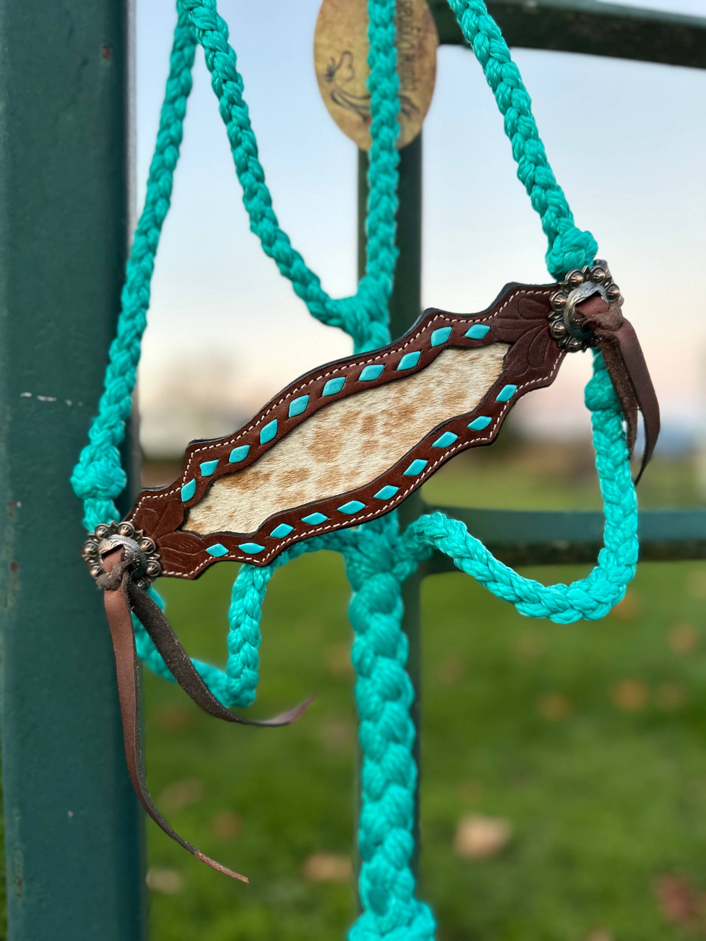 Braided Bronc Halter: Pink Aztec