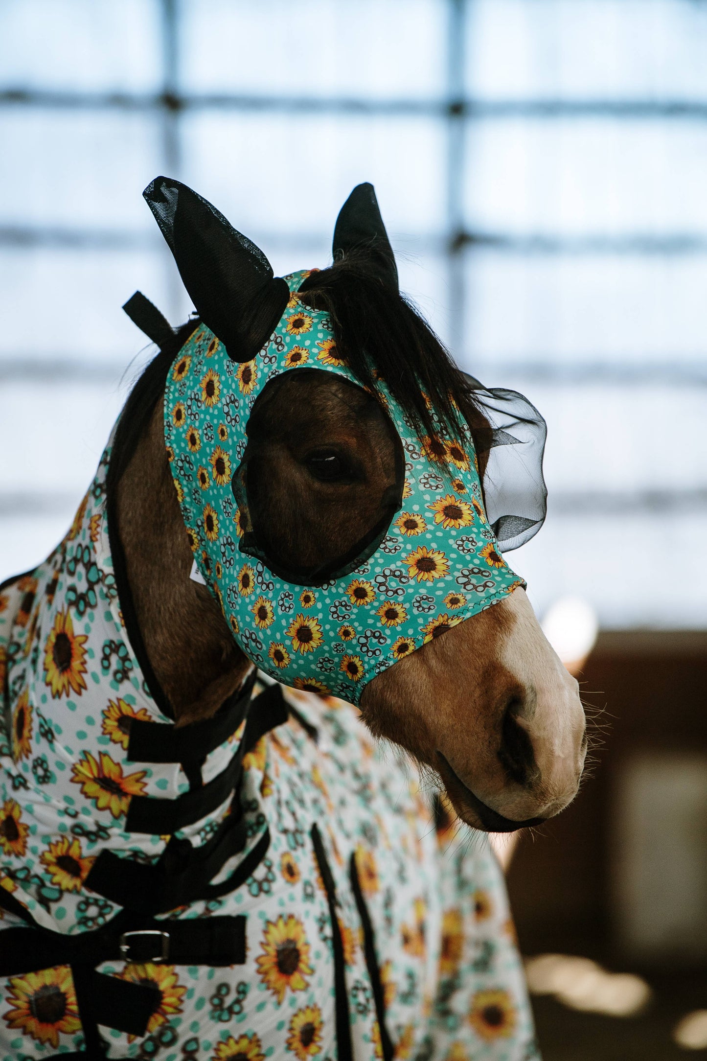 Lycra Fly Mask: Vegas Rodeo / Horse