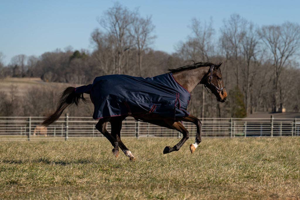 TuffRider 600 D Ripstop Standard Neck Light Weight Turnout Blanket with 100 GSM Fill: Black / 75