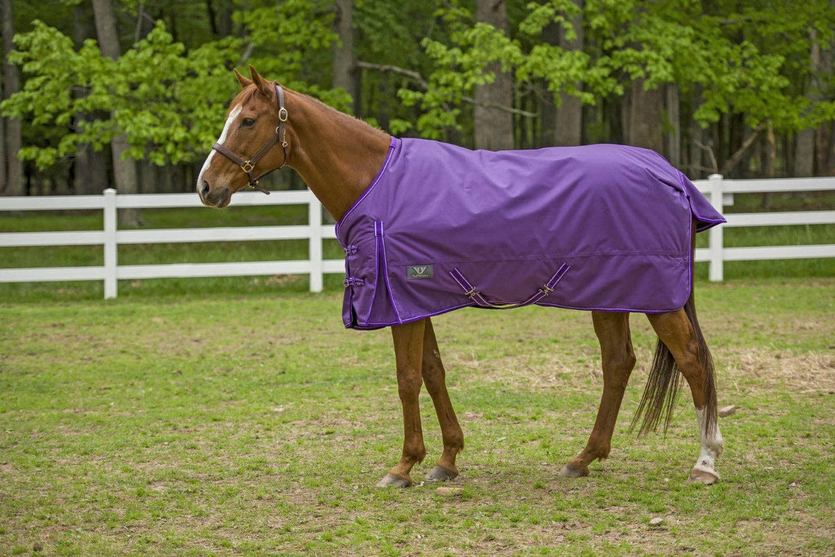 TuffRider 1680 D Super Comfy Winter Ripstop Turnout Blanket Medium Weight 200 GSM Standard Neck: Purple / 78
