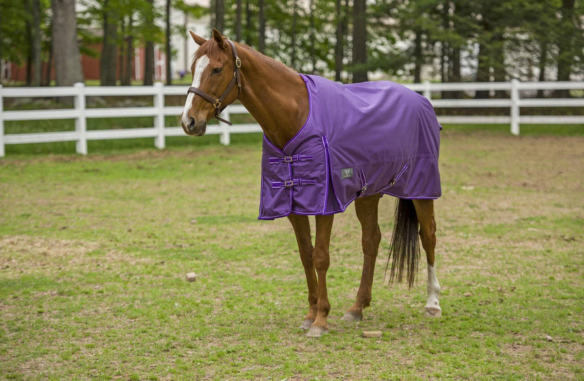 TuffRider 1680 D Super Comfy Winter Ripstop Turnout Blanket Medium Weight 200 GSM Standard Neck: Purple / 78