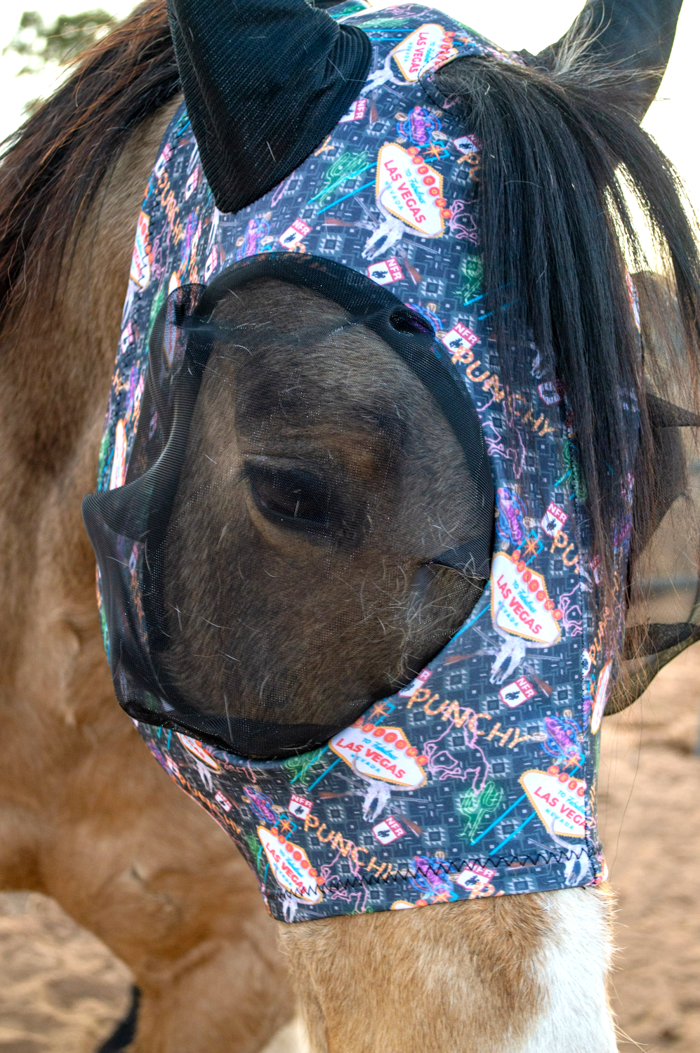 Lycra Fly Mask: Vegas Rodeo / Horse